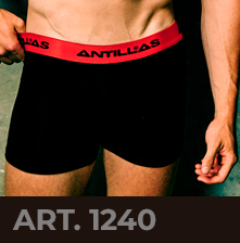 Boxer Antillas