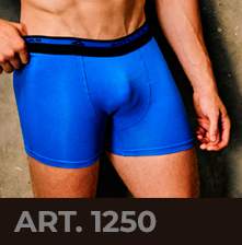 Boxer Antillas